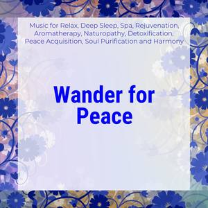 Wander For Peace (Music For Relax, Deep Sleep, Spa, Rejuvenation, Aromatherapy, Naturopathy, Detoxif