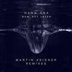Now, Not Later (Martin Zeidner Extended Remix)