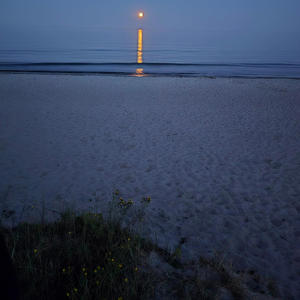 King Arthur ((Instrumental Demo))