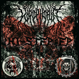 Before the last Shadow falls