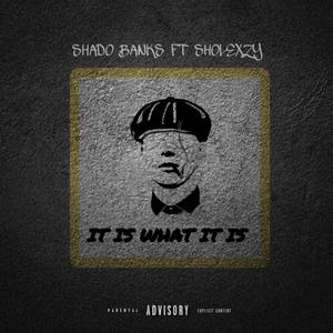 It Is What It Is (feat. Sholexzy) [Explicit]