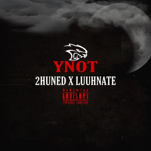 YNOT (feat. Luuhnate) [Explicit]