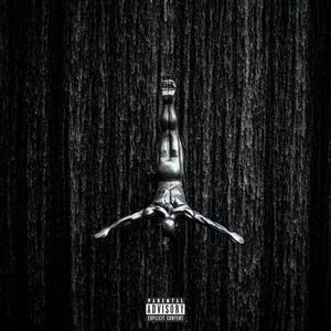 Down Fall (Explicit)