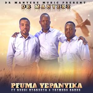 PFUMA YEPANYIKA (feat. KUDZI NYAKUDYA & TRYMORE BANDE)