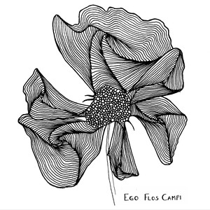 Ego flos campi