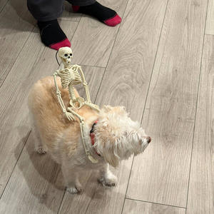 Special New (feat. Tyler Blake)