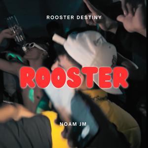 ROOSTER (Explicit)
