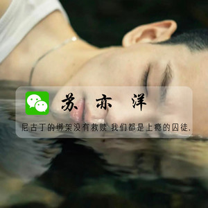 欢喜就好-顾小柒