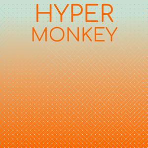 Hyper Monkey