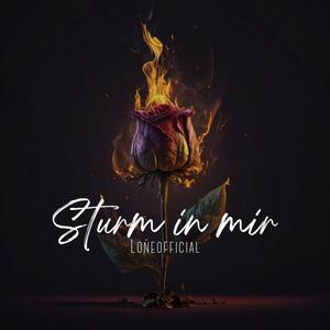 Sturm in mir (feat. Kopfchaot) [Explicit]