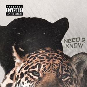 Need to Know (feat. Spenbanz) (Explicit)