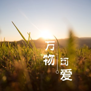 万物可爱