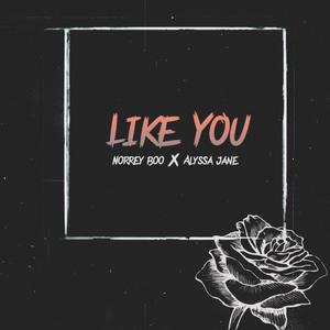 Like You (feat. Alyssa Jane) [Explicit]