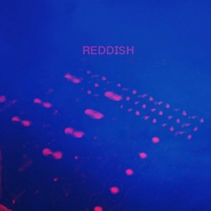 夏朗-Reddish(Ming re-edit) (Ming / 夏朗 remix)