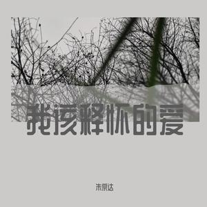 我该释怀的爱 (伴奏)