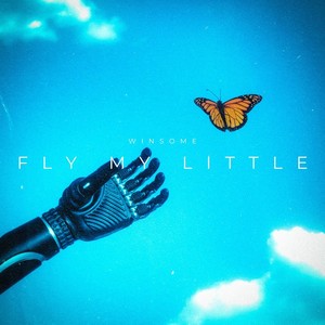 Fly My Little