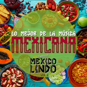 Lo Mejor de la Música Mexicana, Especial México Lindo, Vol. 3