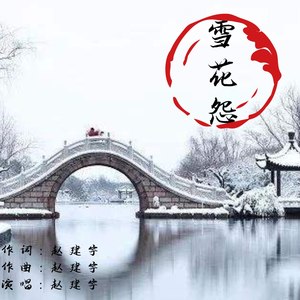 雪花怨