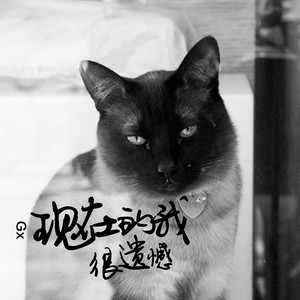 现在的我 很遗憾