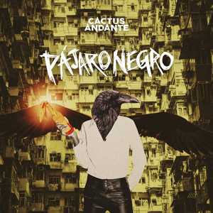 Pájaro Negro