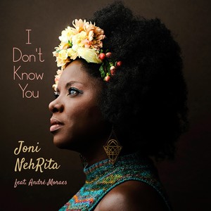 I Don't Know You (feat. André Moraes)