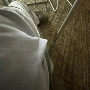 Fast Cars (feat. zayyy) (Explicit)