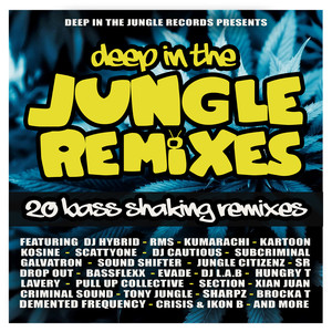 Run Pon Dem (Tony Jungle Remix)