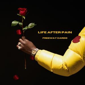 Life After Pain (Explicit)