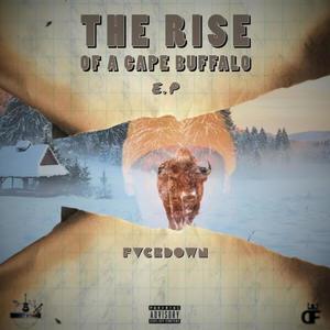 The rise of a cape Buffalo (Explicit)