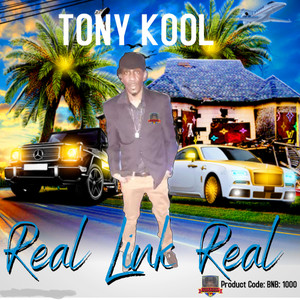 Tony Kool - Real Link Real(feat. Carlton Brown)