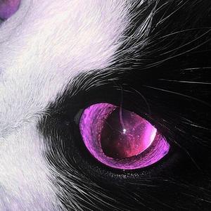 restart (feat. Unknöwn) (Explicit)