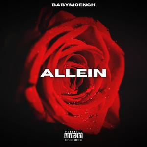 Allein (Explicit)