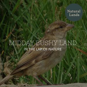 Midday Bushy Land - In the Lap of Nature