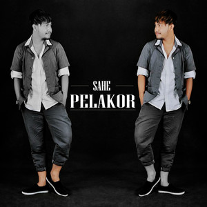 Pelakor