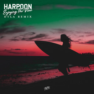 Enjoying the View (DTLA Remix)