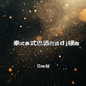 泰式泰式巴适巴适dj硬曲