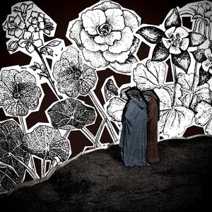 Muskrat (Cart Live Session)