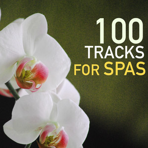 100 Tracks for Spas - Deep Rest & Regeneration Songs, Isochronic Healing Frequencies