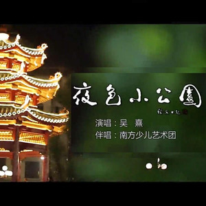 夜色小公园