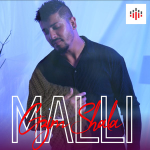 Malli