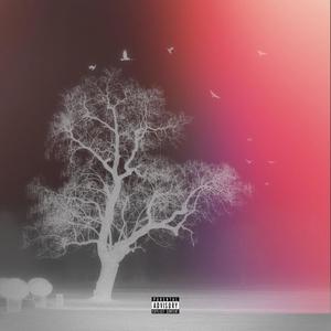 Contimplating Death (Explicit)