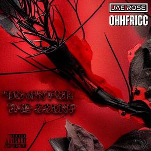 DOWN FOR THE COUNT (feat. ohhfricc) (Explicit)