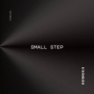 small step (feat. Gokuzy)