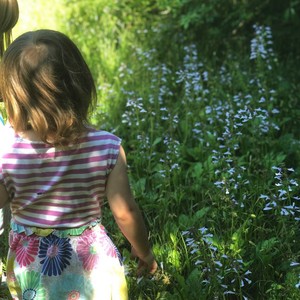 Sweet Flowers