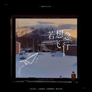 若想念飞行