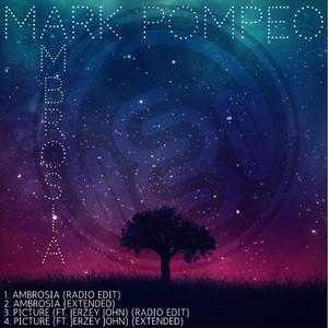 Picture(feat. Jerzey John) (Radio Edit)