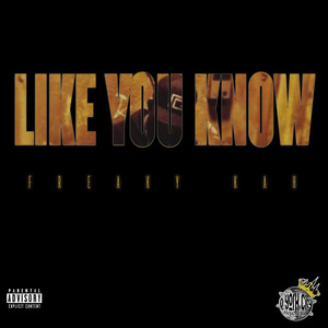 Like You Know (Explicit)