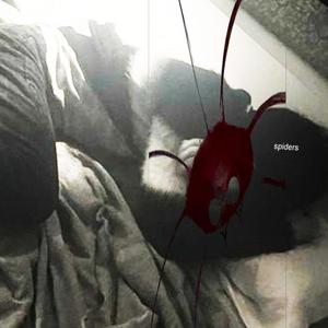spiders (Explicit)