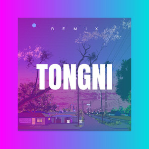 边疆的泉水清又纯 (DJ版)