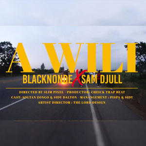 A Wili (feat. Sam Djul) [Explicit]